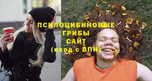 прущие крисы Белоозёрский