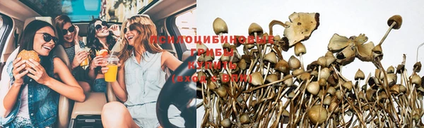 прущие крисы Белоозёрский