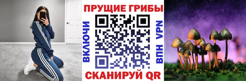 гидра онион  купить   Куйбышев  Галлюциногенные грибы прущие грибы 